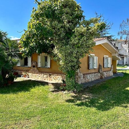 Jennas-Green Apartment كارديدو المظهر الخارجي الصورة