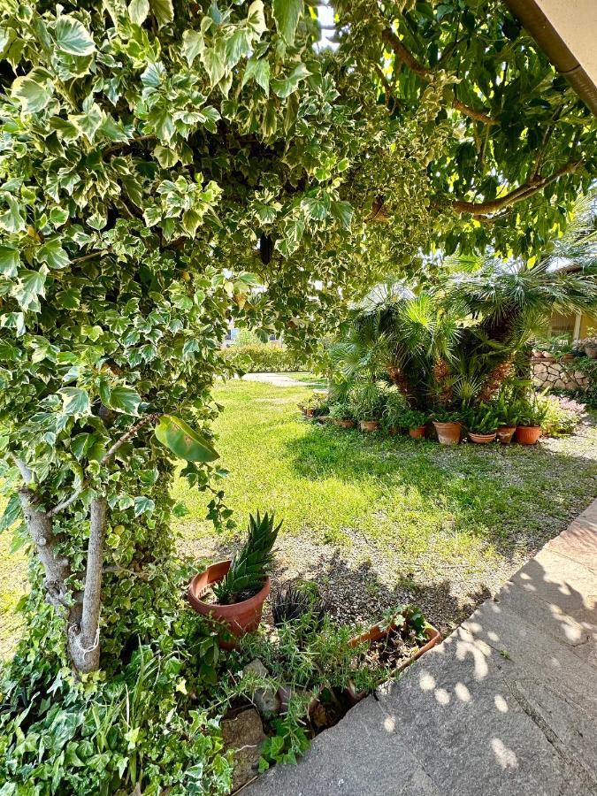 Jennas-Green Apartment كارديدو المظهر الخارجي الصورة