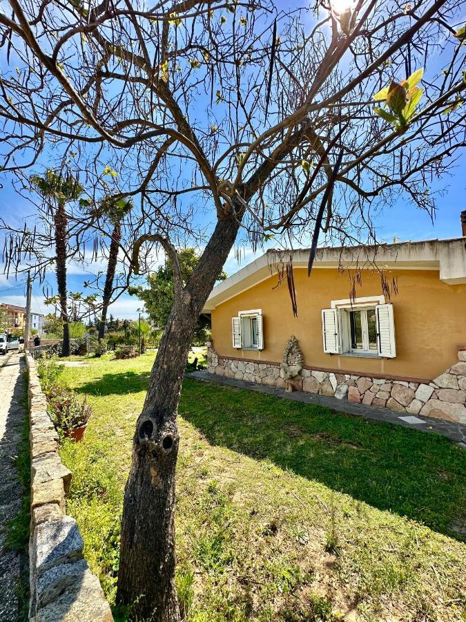 Jennas-Green Apartment كارديدو المظهر الخارجي الصورة
