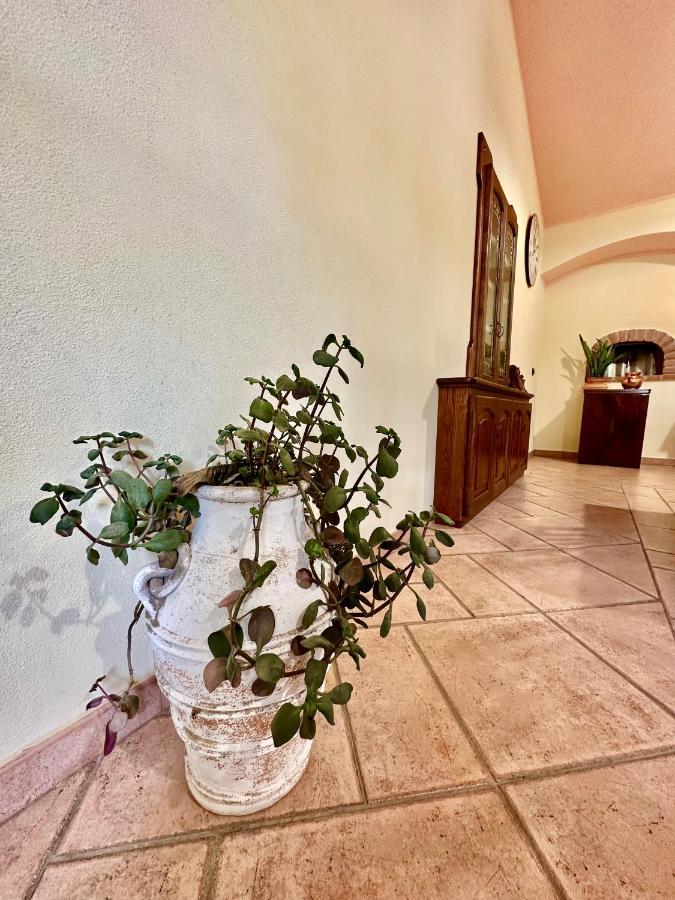 Jennas-Green Apartment كارديدو المظهر الخارجي الصورة